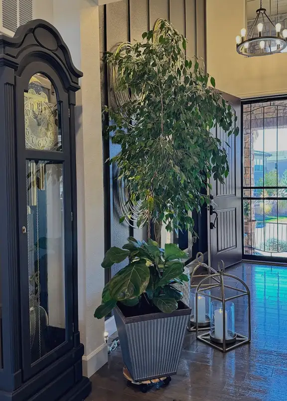 Painting Services, Highlands Ranch, CO